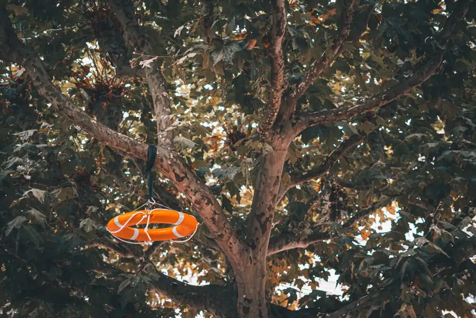 A bright orange lifebuoy hangs among lush green tree branches in Wiesbaden, Germany.