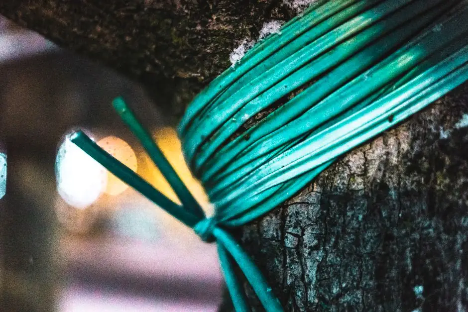 Macro shot of blue electrical cable tied around tree bark with blurred bokeh background.