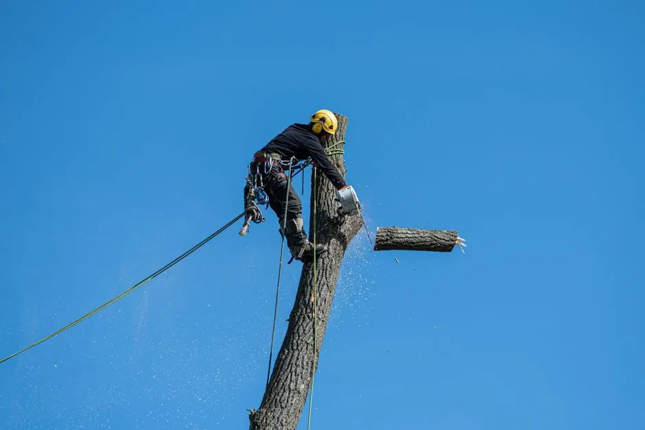 On the job